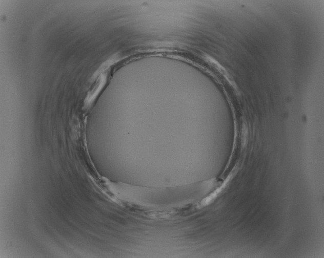 X0000081371449200702020153