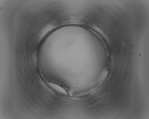 X0000081371450200702020153