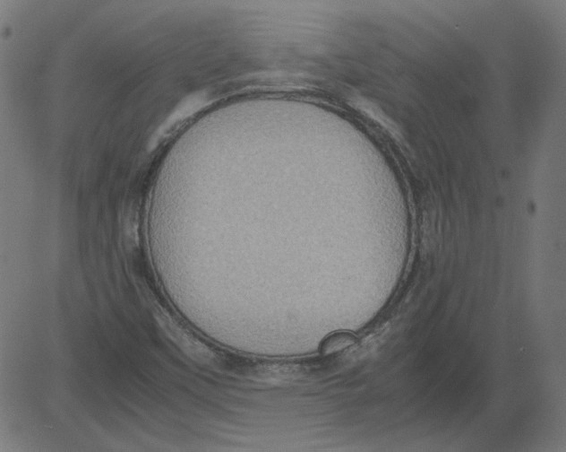 X0000081371451200702020153