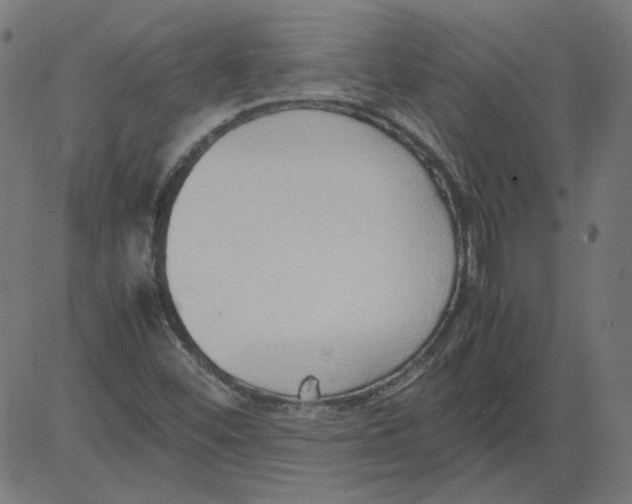 X0000081371452200702020153