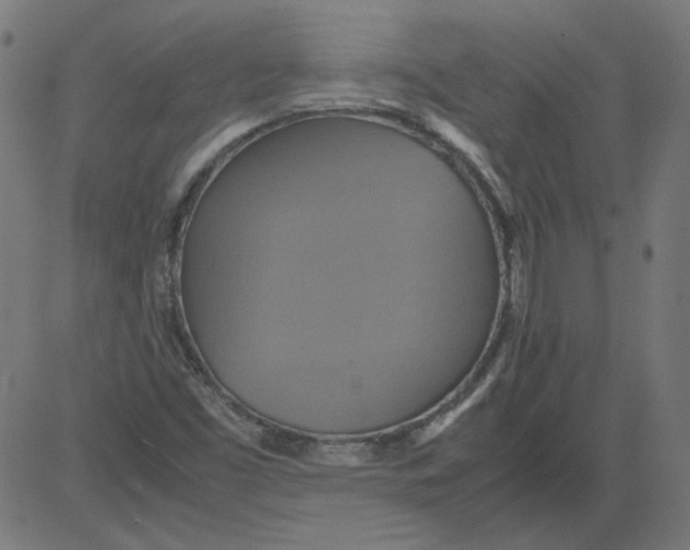 X0000081371453200702020153