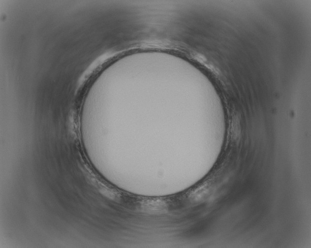 X0000081371454200702020153