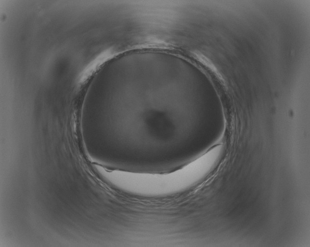 X0000081371455200702020153