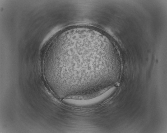 X0000081371456200702020153