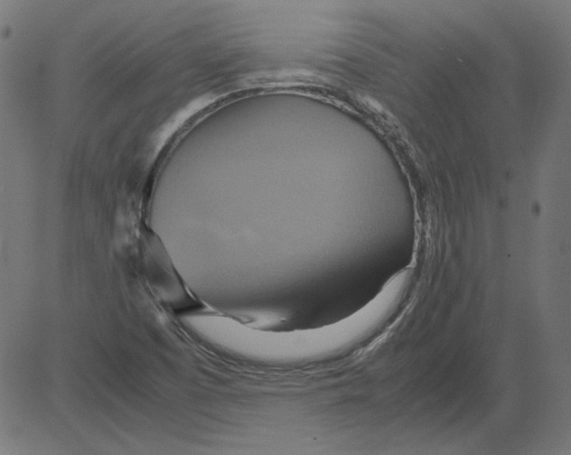 X0000081371457200702020153