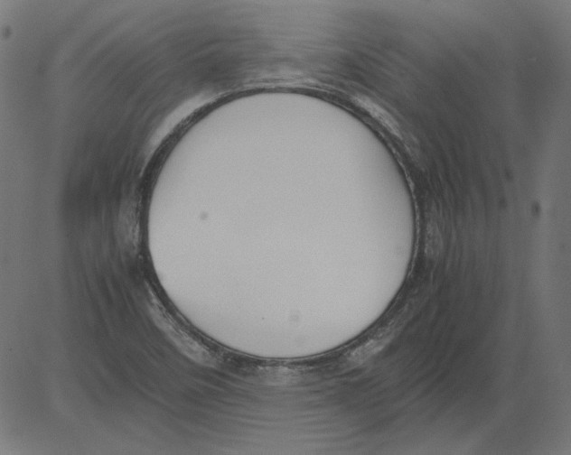 X0000081371458200702020153