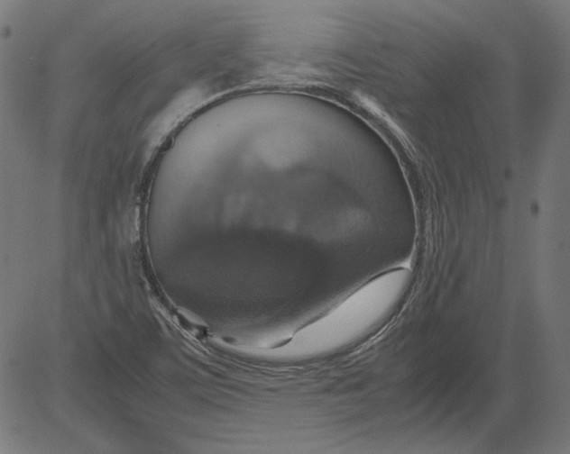 X0000081371459200702020153