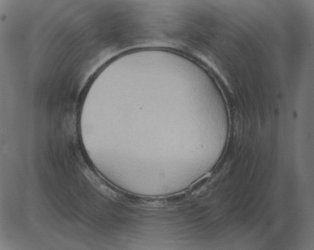 X0000081371460200702020153