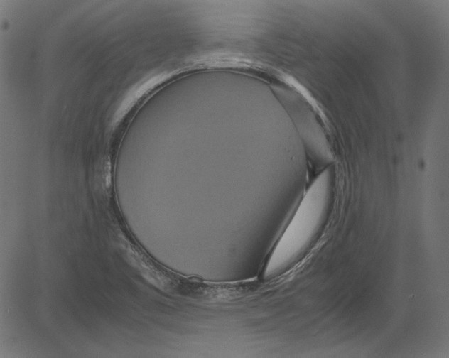 X0000081371461200702020153