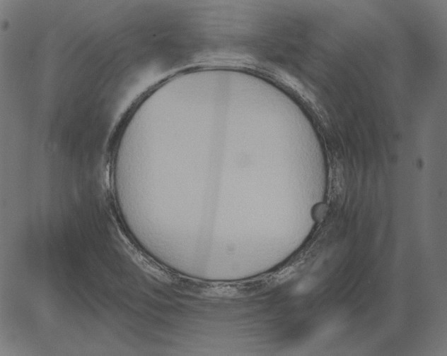 X0000081371462200702020153