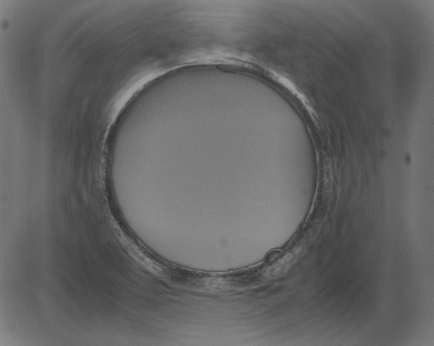 X0000081371463200702020153