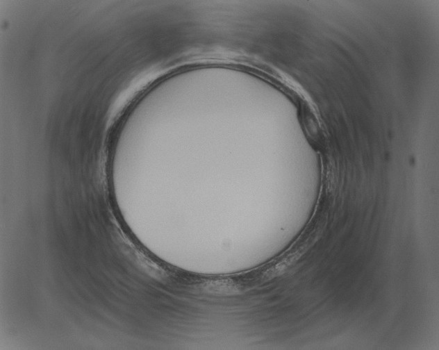 X0000081371464200702020153