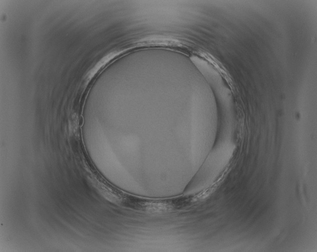 X0000081371465200702020153