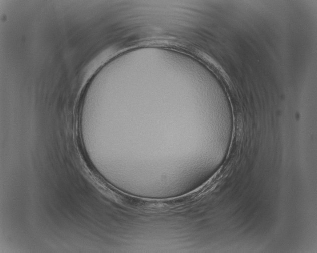 X0000081371467200702020153