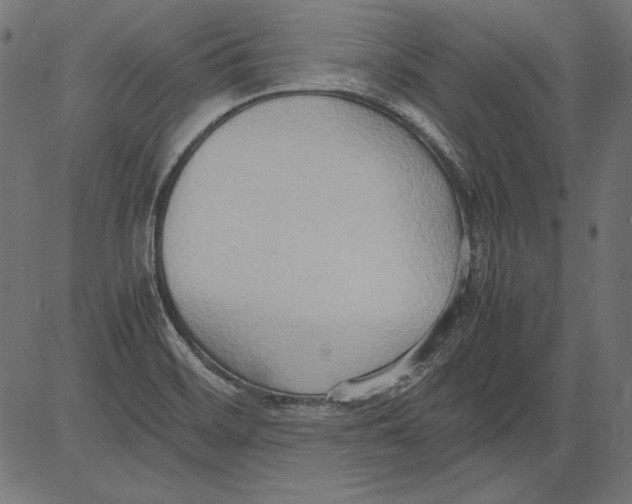 X0000081371468200702020153