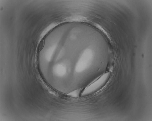 X0000081371469200702020153