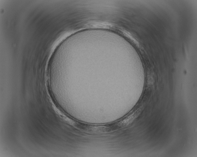 X0000081371471200702020153