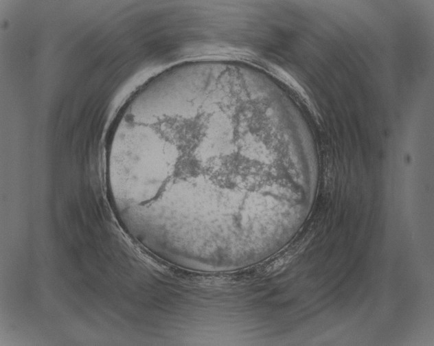 X0000081371472200702020153