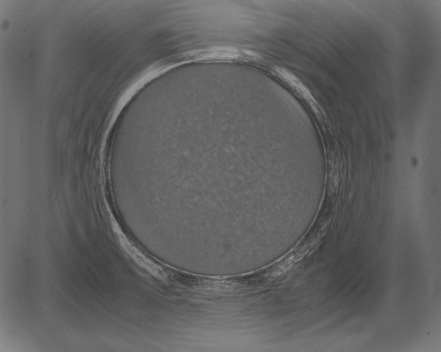 X0000081371475200702020153