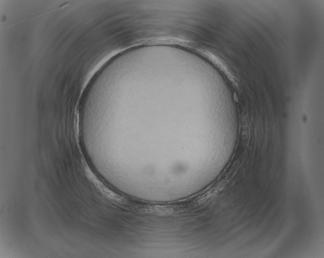 X0000081371476200702020153