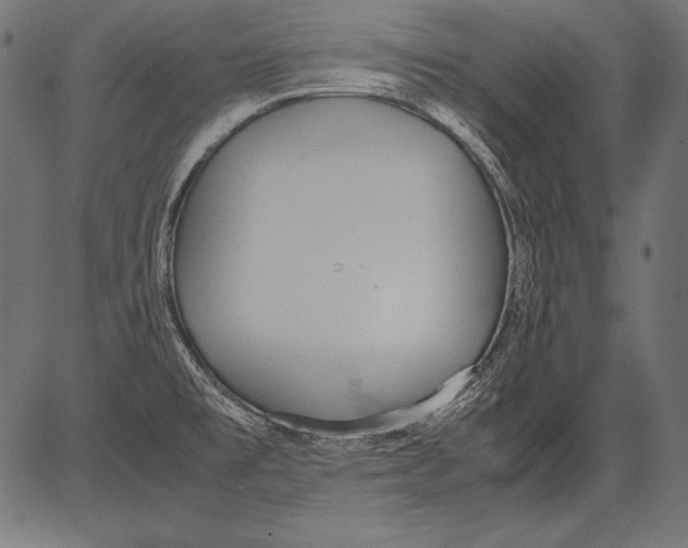 X0000081371477200702020153