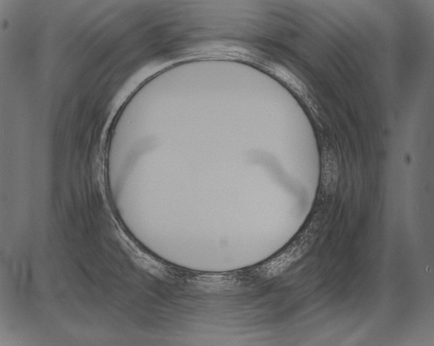 X0000081371478200702020153