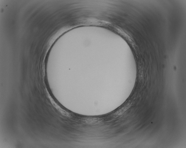 X0000081371479200702020153