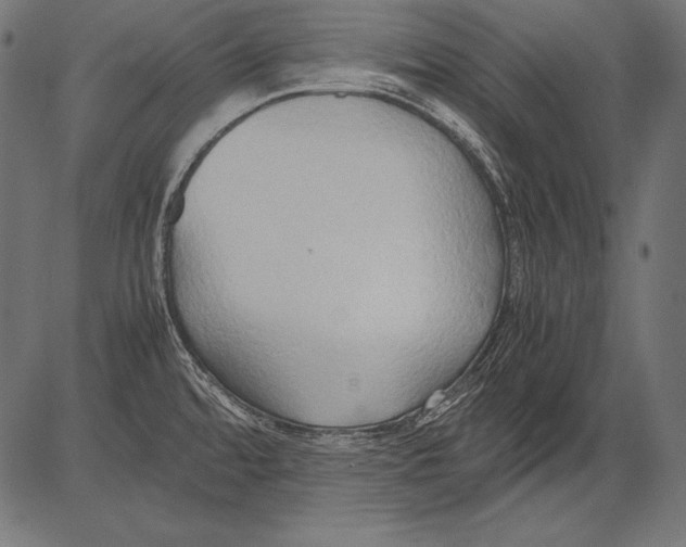 X0000081371480200702020153