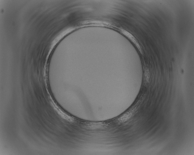 X0000081371482200702020153