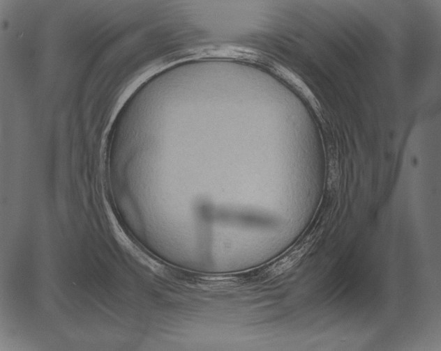 X0000081371483200702020153