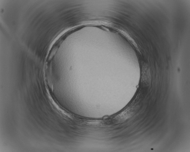 X0000081371484200702020153