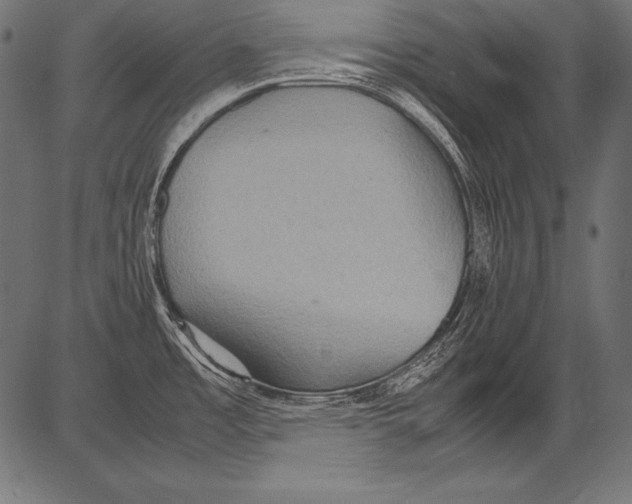 X0000081371485200702020153