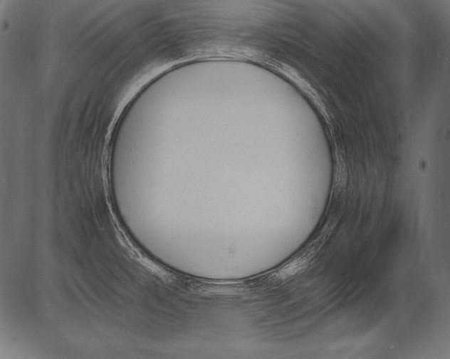 X0000081371486200702020152