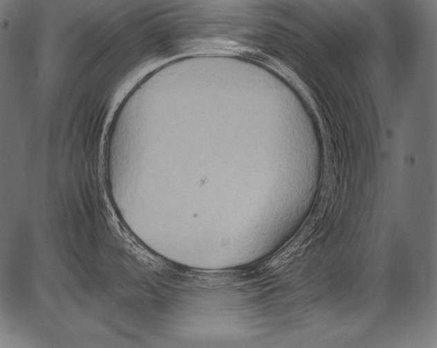 X0000081371488200702020152