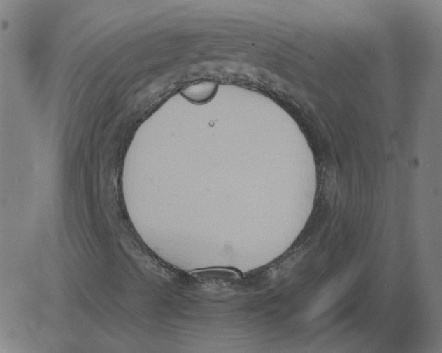 X0000081371489200702020152