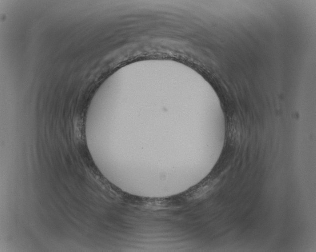 X0000081371490200702020152