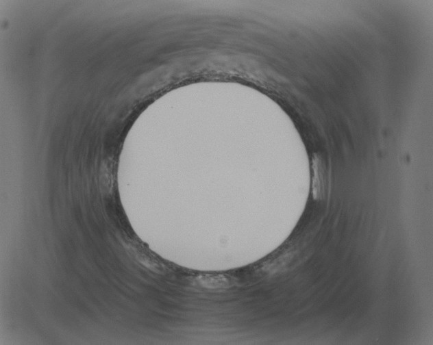 X0000081371491200702020152