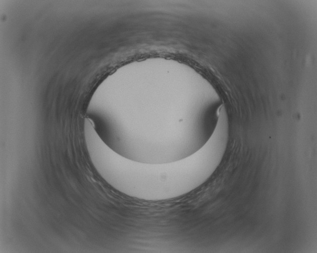 X0000081371492200702020152