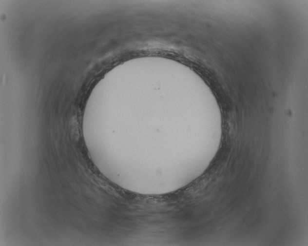 X0000081371493200702020152