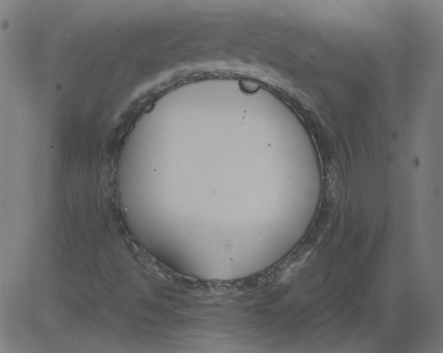 X0000081371494200702020152