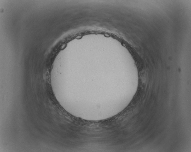 X0000081371495200702020152