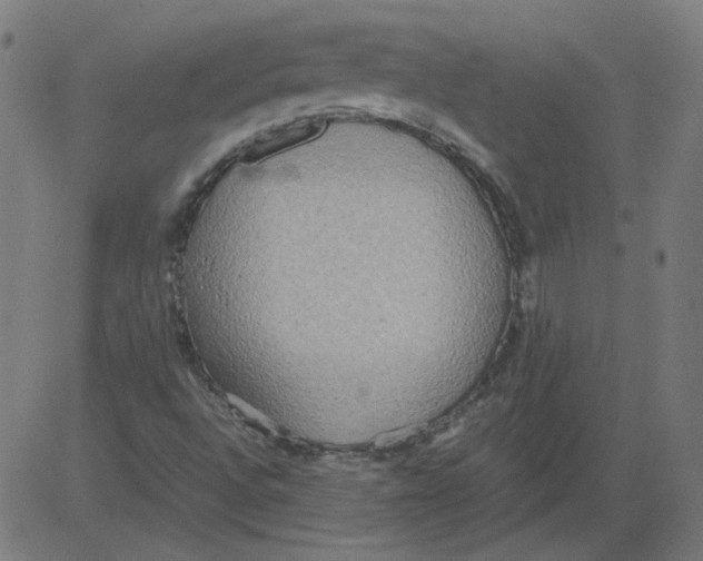 X0000081371496200702020152