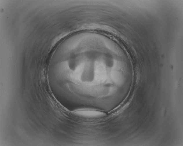 X0000081371497200702020152