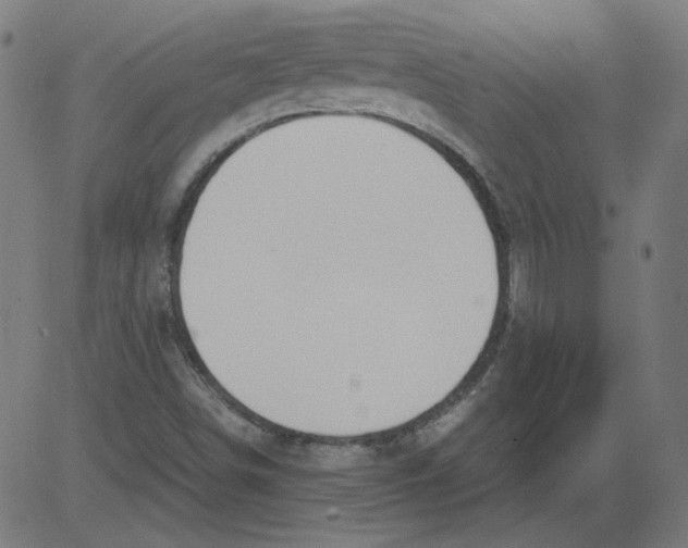 X0000081371498200702020152