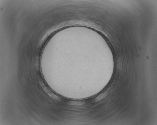 X0000081371499200702020152