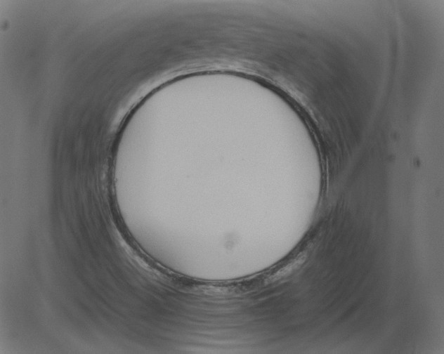 X0000081371500200702020152