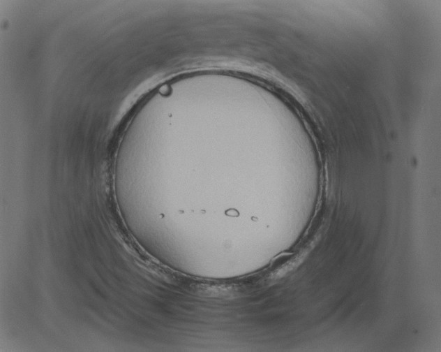 X0000081371501200702020152