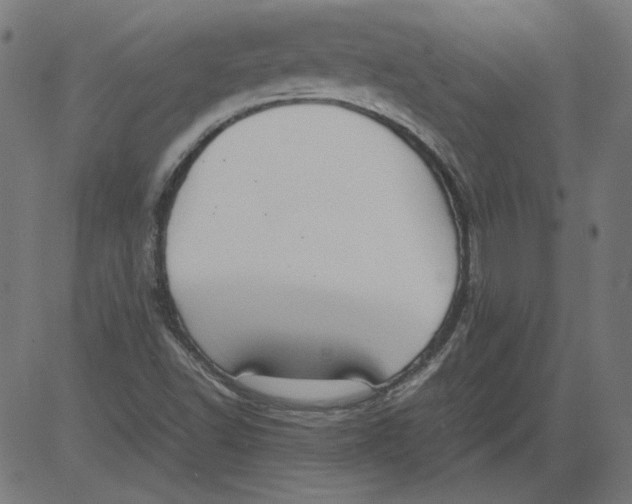 X0000081371502200702020152