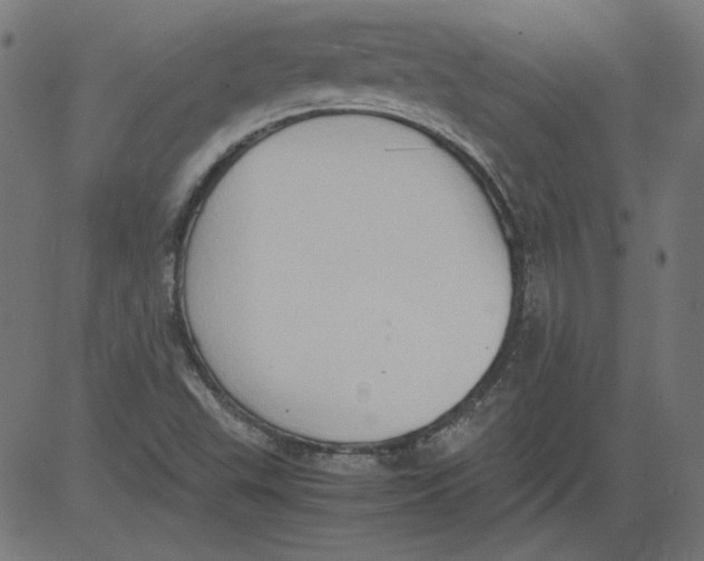 X0000081371503200702020152