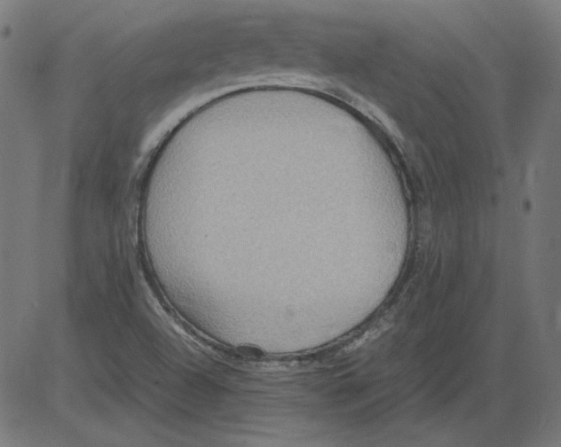 X0000081371504200702020152